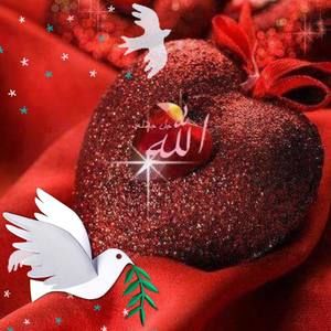 Meet your Posher, Liza